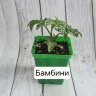 Саженец томата "Бамбини"
